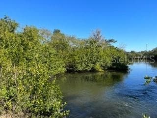 PINE HUDSON, FL 34667