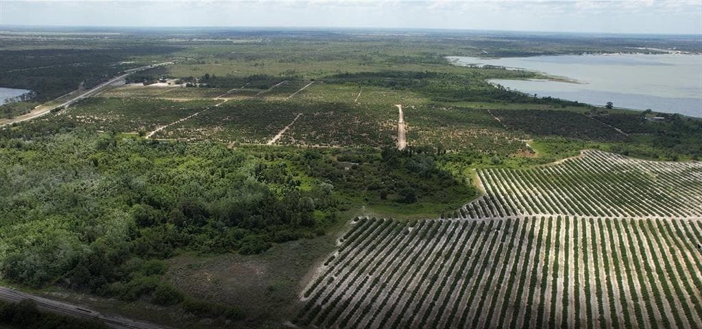 275 S BEAR POINTE DRIVE LAKE PLACID, FL 33852