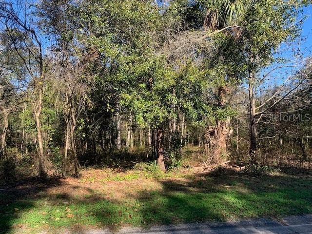 Lot 15 LAKE HILLS DRIVE RIVERVIEW, FL 33569
