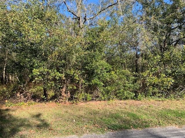 Lot 16 LAKE HILLS DRIVE RIVERVIEW, FL 33569