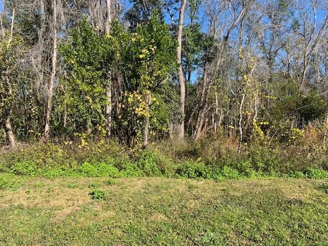 Lot 18 LAKE HILLS DRIVE RIVERVIEW, FL 33569