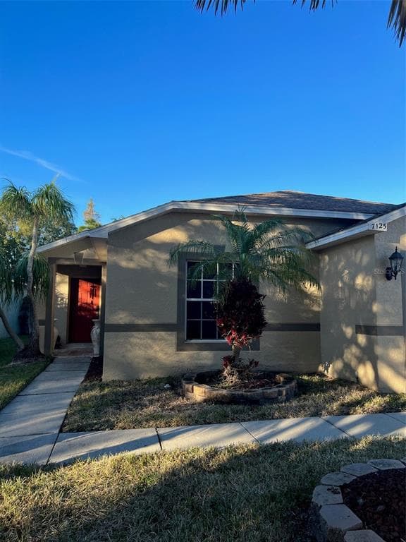 7125 HAMILTON PARK BOULEVARD TAMPA, FL 33615