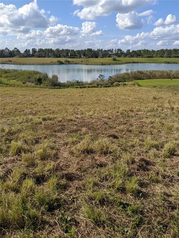 10249 HWY 555 FORT MEADE, FL 33841