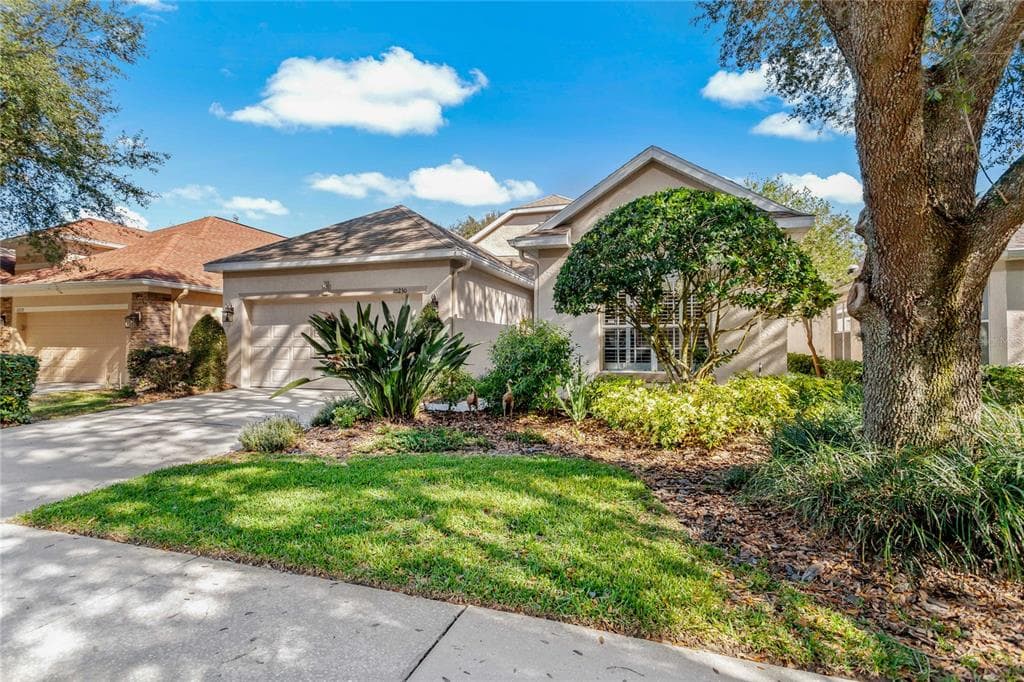 10230 EVERGREEN HILL DRIVE TAMPA, FL 33647