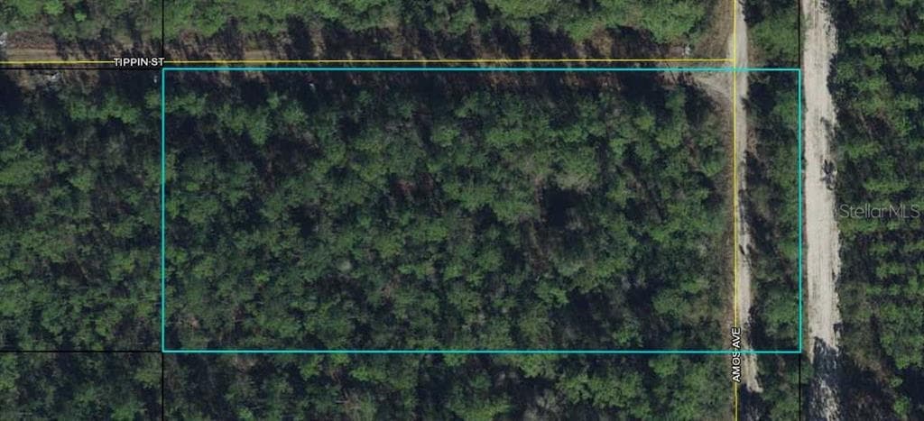 AMOS AVENUE BUNNELL, FL 32110