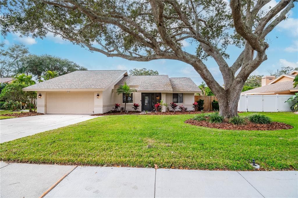 1077 FALCON RIDGE LANE PALM HARBOR, FL 34683