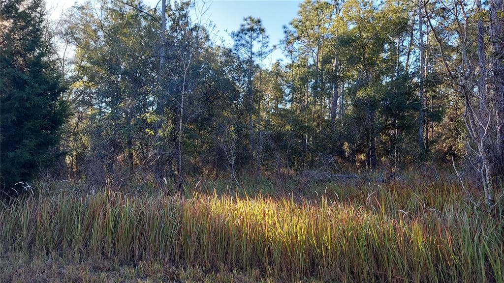 HIGHFIELD ROAD BROOKSVILLE, FL 34604