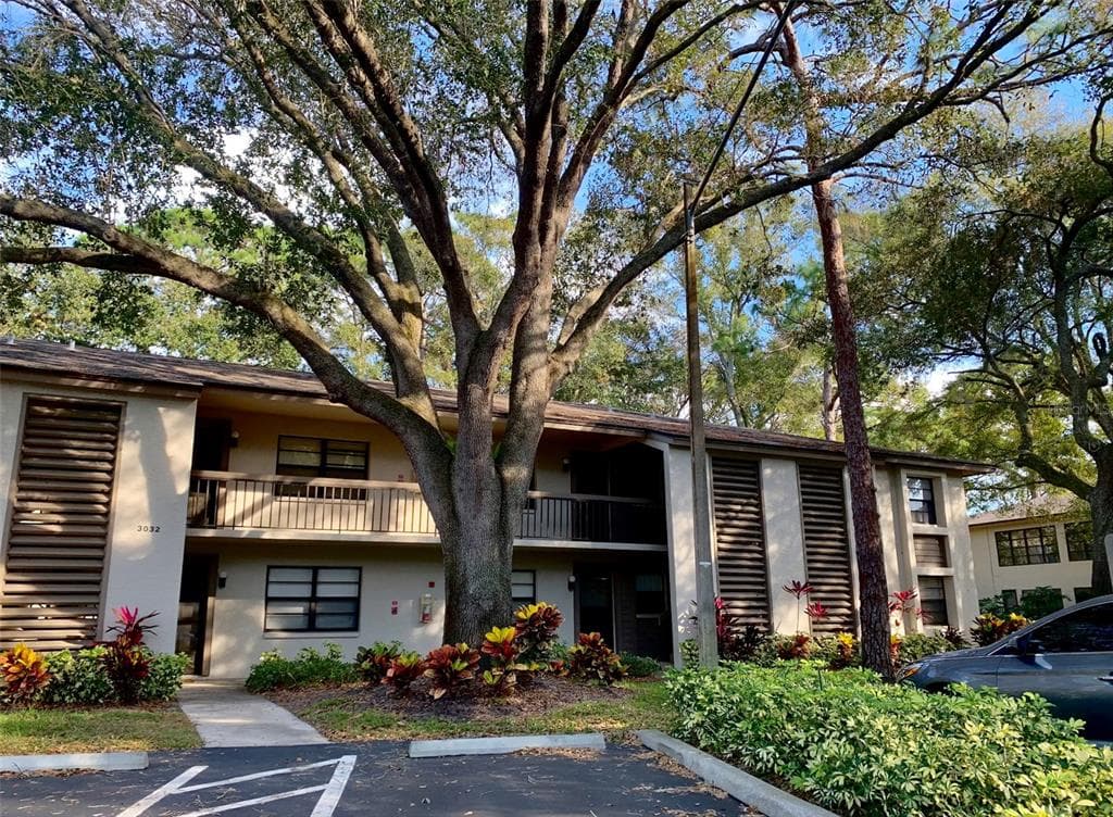 3032 EASTLAND BOULEVARD UNIT B203 CLEARWATER, FL 33761