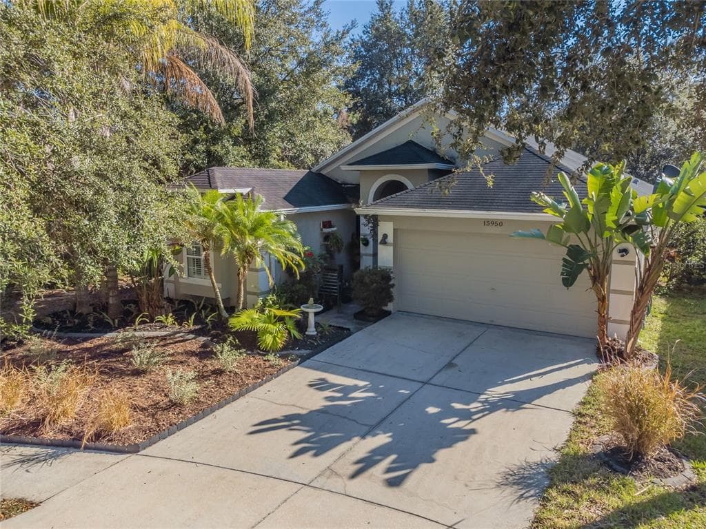 15950 POND RUSH COURT LAND O LAKES, FL 34638