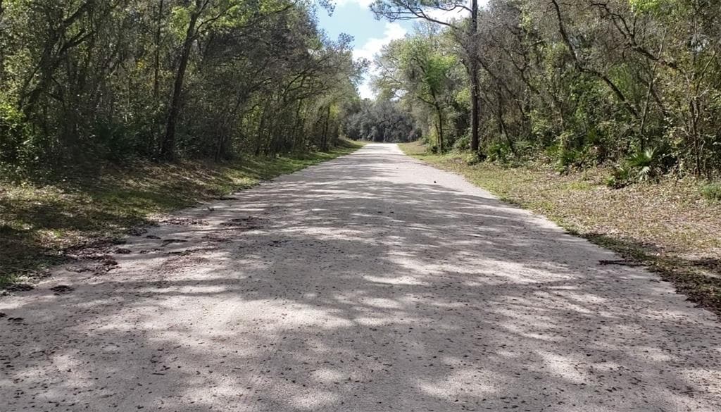 SUDAN DRIVE WEBSTER, FL 33597