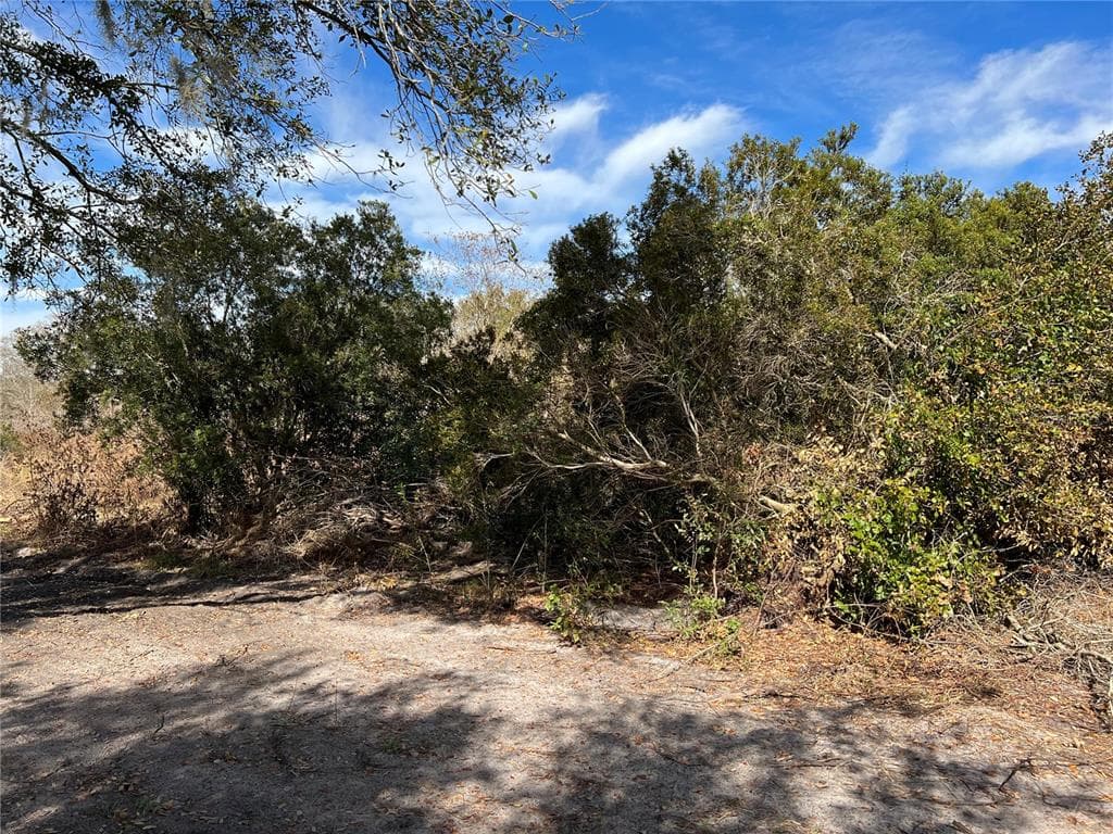 MADDOX DRIVE THONOTOSASSA, FL 33592