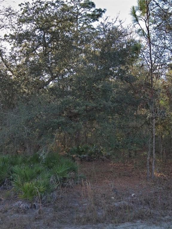 7085 SOUTH STREET WEBSTER, FL 33597