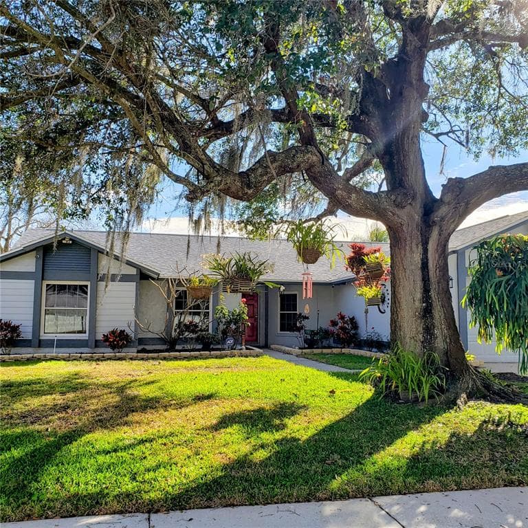 12339 YELLOW ROSE CIRCLE RIVERVIEW, FL 33569