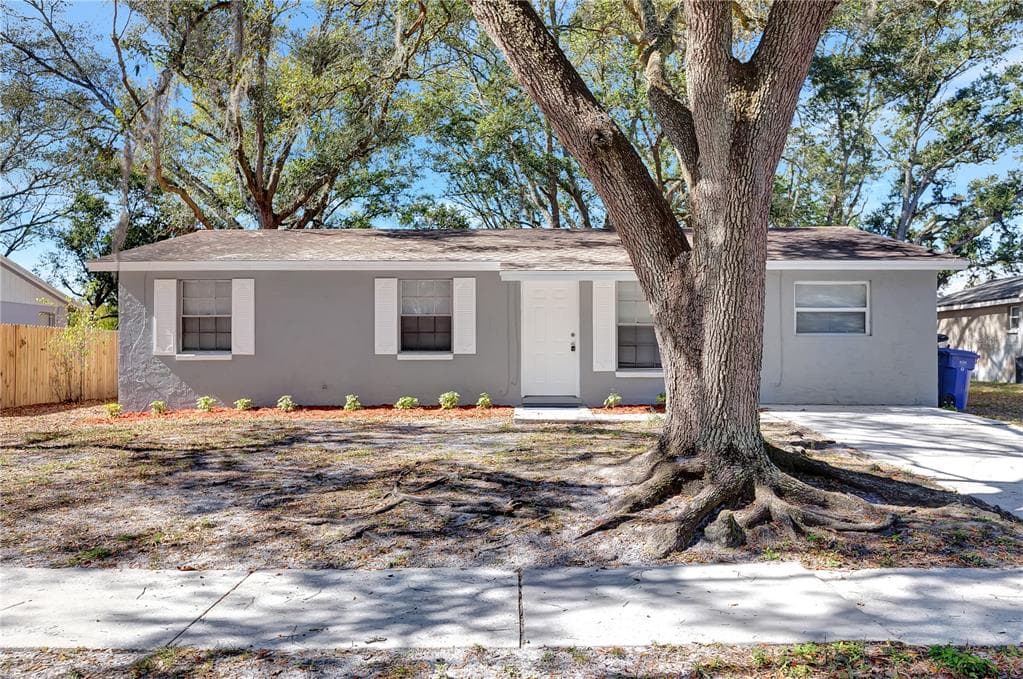 3718 PATINA DRIVE TAMPA, FL 33619