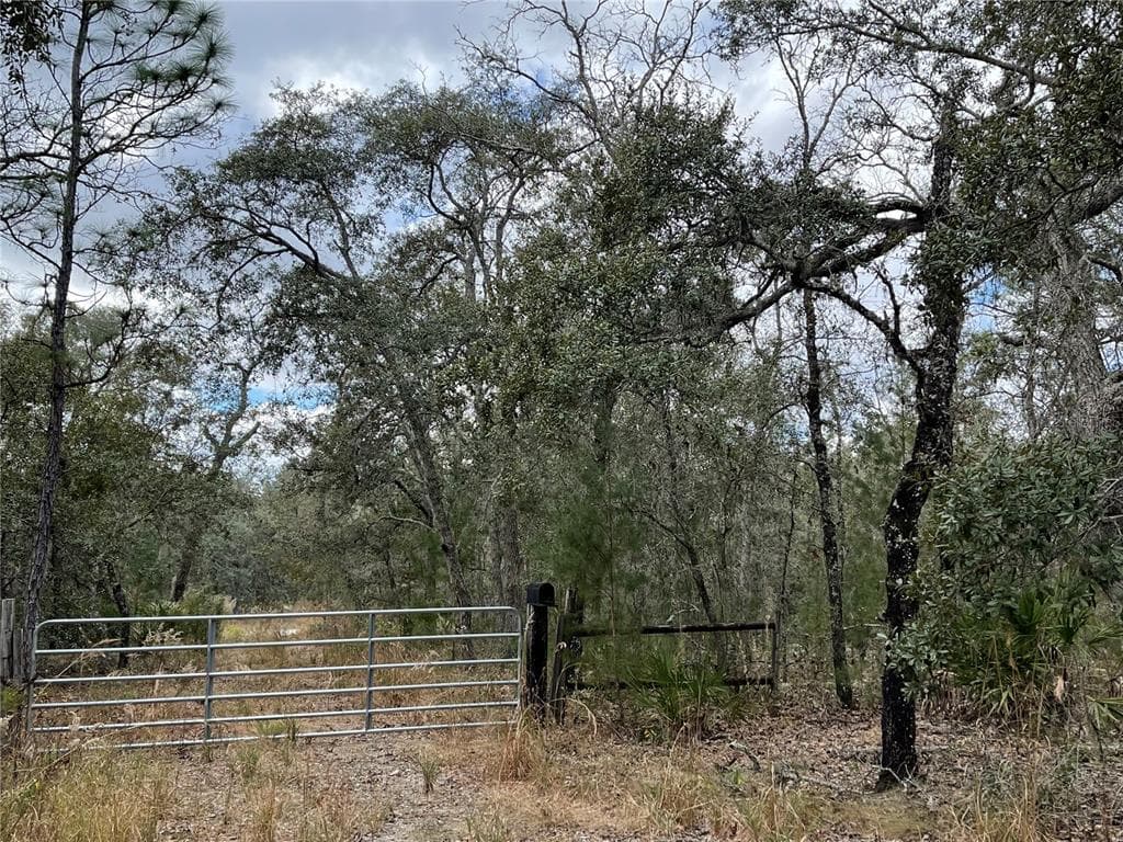10319 MARYLAND AVENUE WEEKI WACHEE, FL 34613