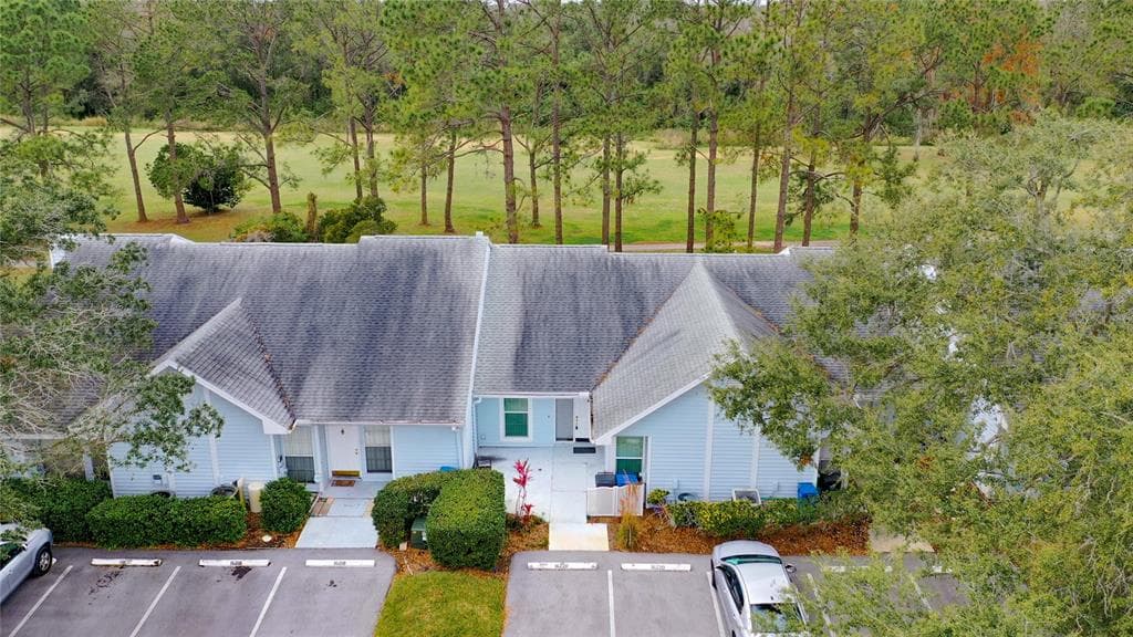 16220 RAMBLING VINE DRIVE W TAMPA, FL 33624