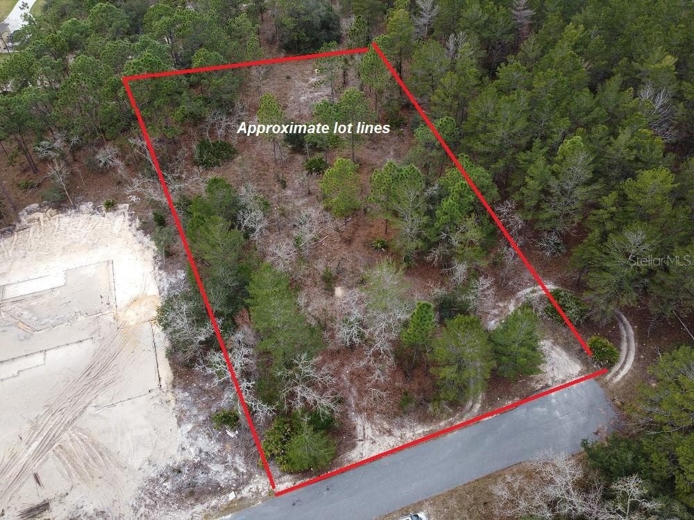 9135 MARCUS ROAD WEEKI WACHEE, FL 34613