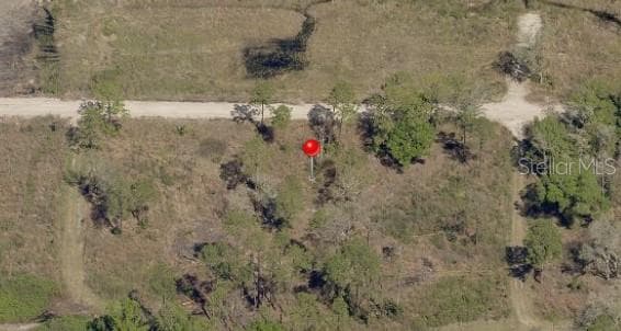 AVONWOOD STREET TAMPA, FL 33625