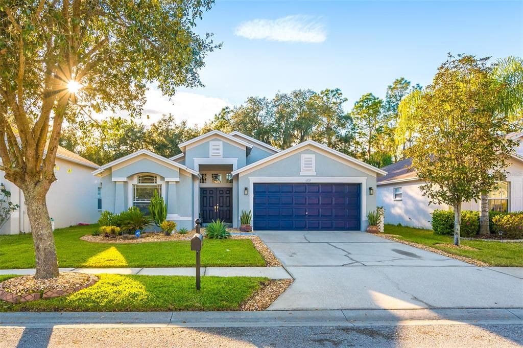 6719 BLUFF MEADOW COURT WESLEY CHAPEL, FL 33545