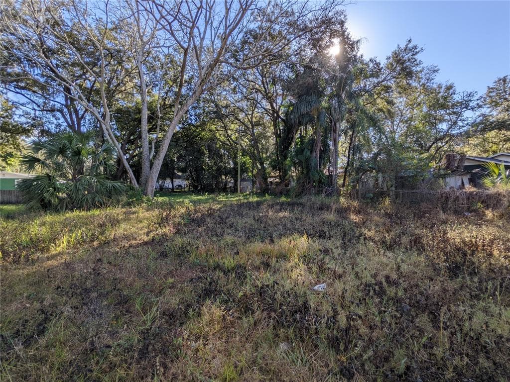 14 S FOREST STREET PLANT CITY, FL 33563