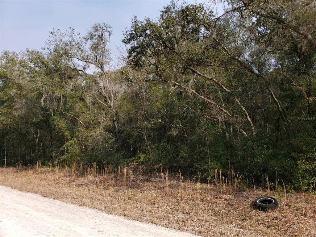 34021 EILER BOULEVARD WEBSTER, FL 33597