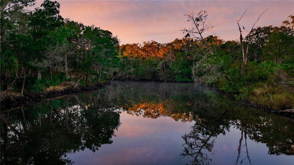 0 W GRYBEK DRIVE HOMOSASSA, FL 34448