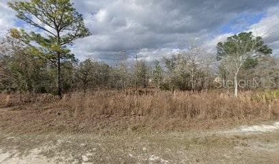 13203 PAXTON AVENUE WEEKI WACHEE, FL 34614