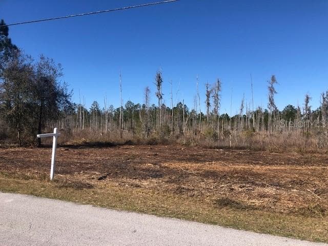 26930 GREEN WILLOW RUN WESLEY CHAPEL, FL 33544