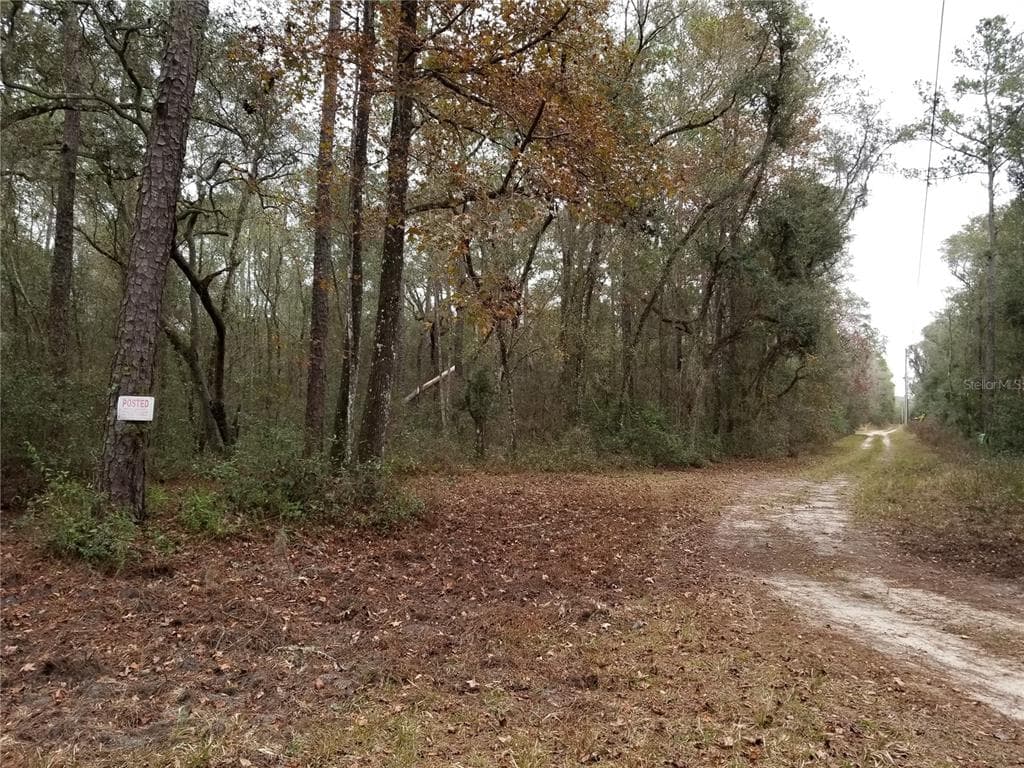 1727 E GOOSE LANE DUNNELLON, FL 34434