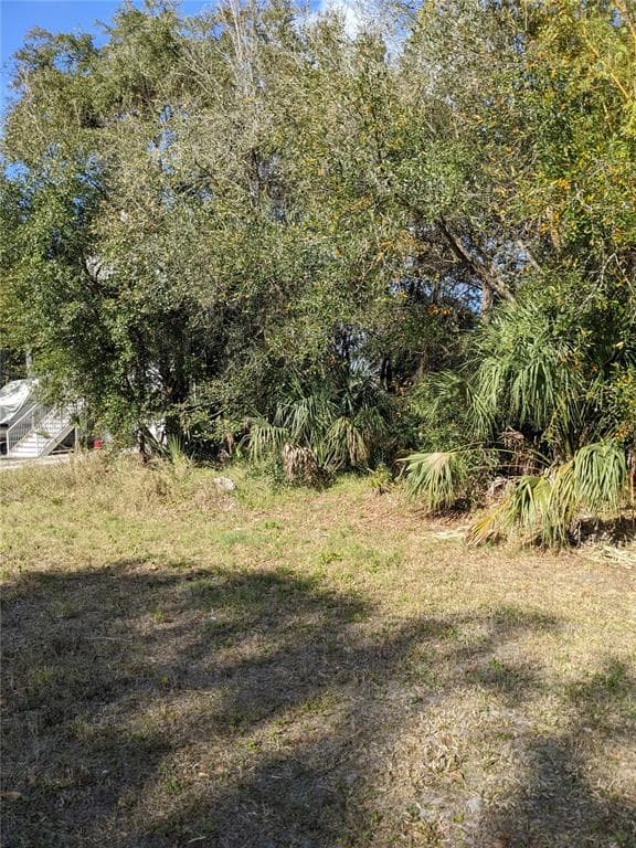 3154 PHOENIX AVENUE OLDSMAR, FL 34677