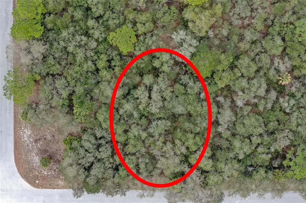17108 THOMPSON AVENUE PORT CHARLOTTE, FL 33948