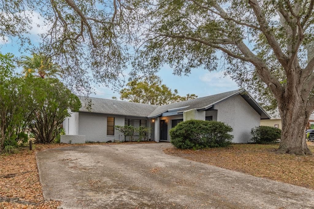 3179 CHAMBLEE LANE CLEARWATER, FL 33759