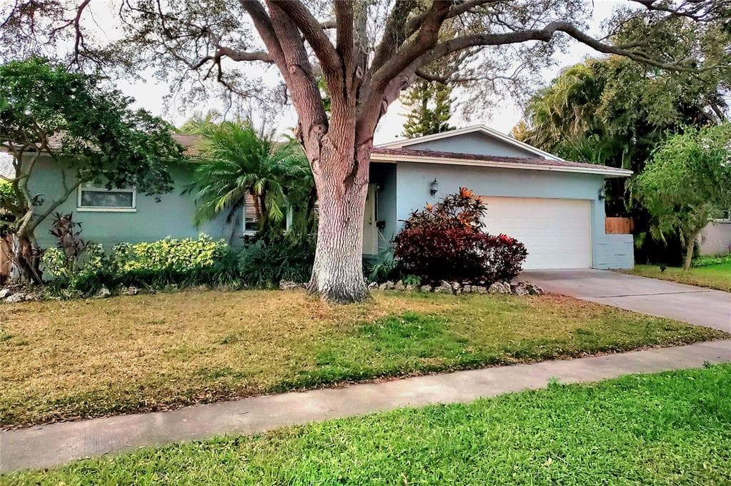 6000 19TH STREET NE ST PETERSBURG, FL 33703