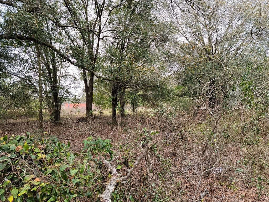 PUMP ROAD MULBERRY, FL 33860