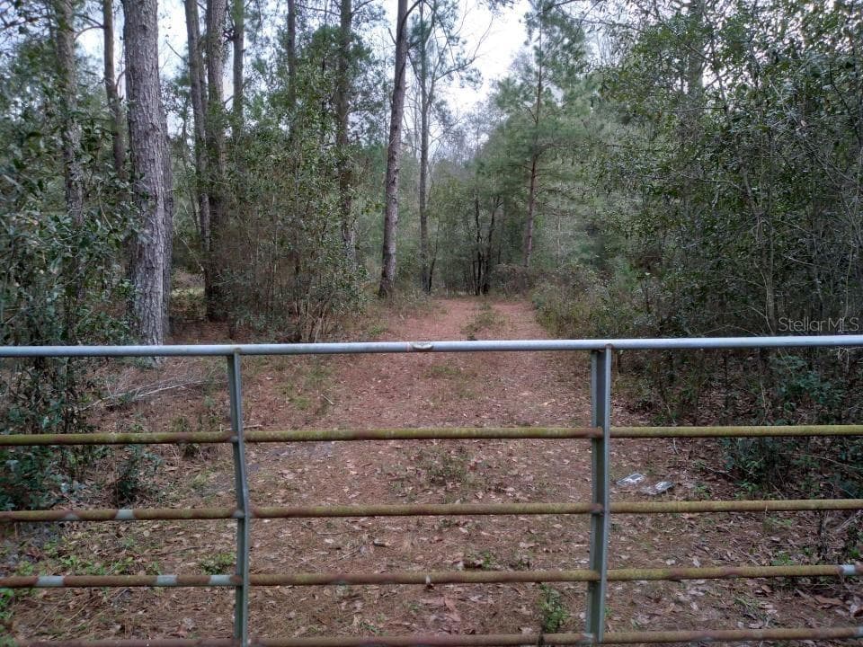 144TH ST LIVE OAK, FL 32060