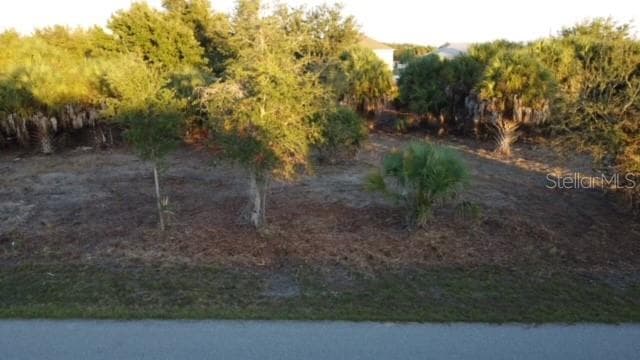 9629 NASTRAND CIRCLE PORT CHARLOTTE, FL 33981