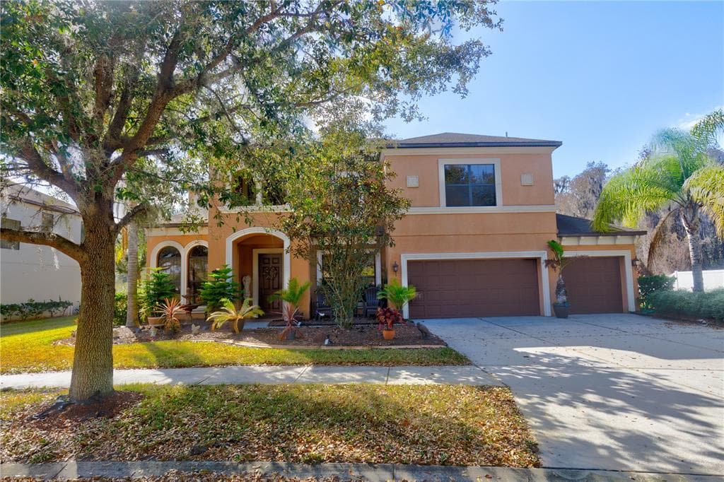 19203 CLIMBING ASTER DRIVE