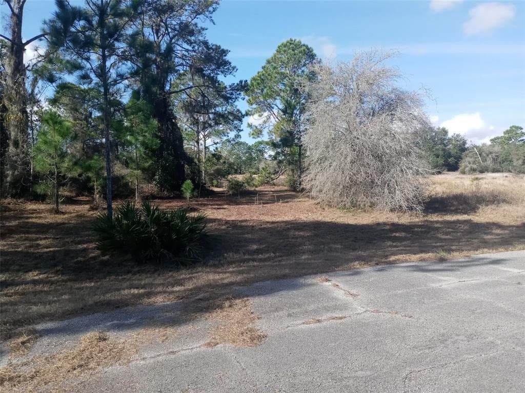 357 BASS COURT POINCIANA, FL 34759
