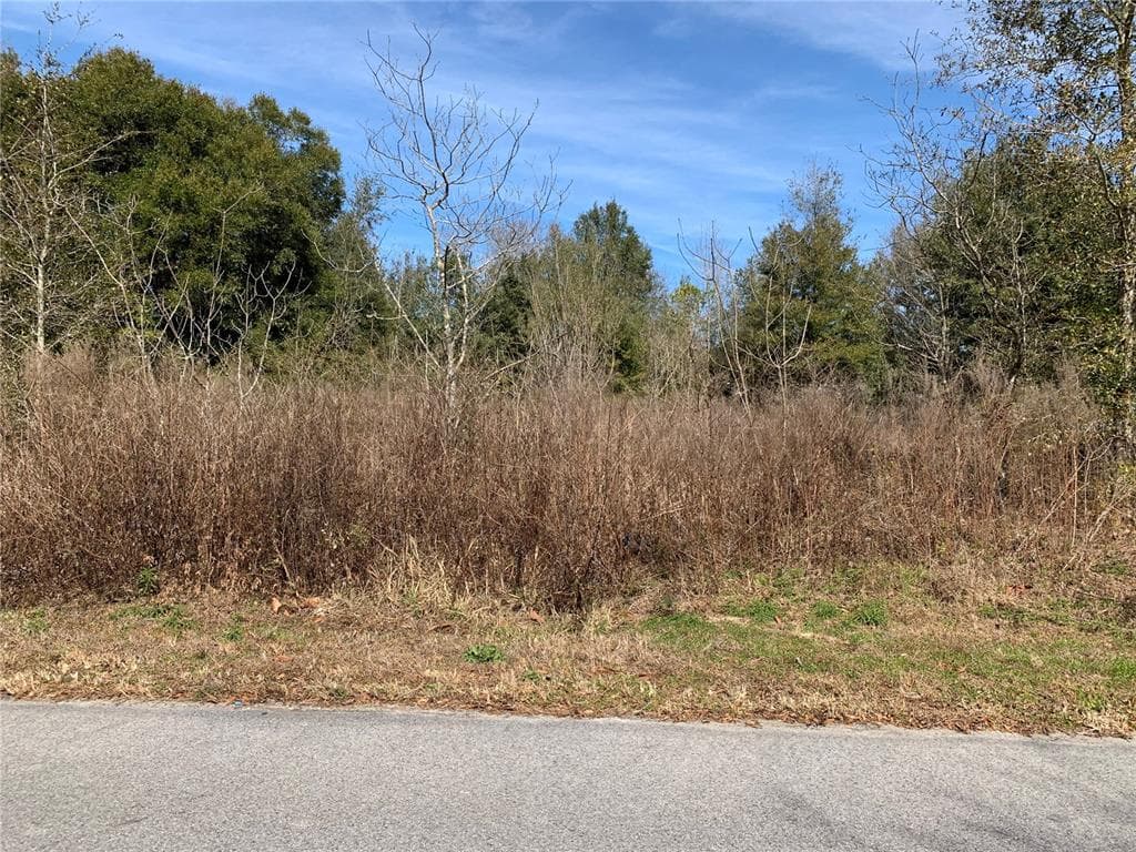 TBD NW 2ND STREET OCALA, FL 34482