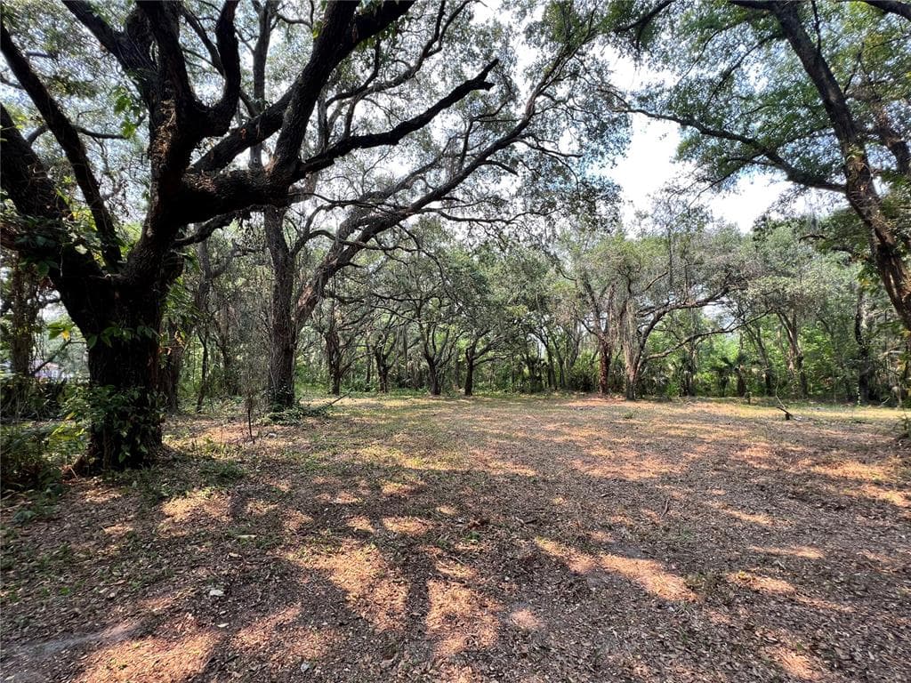 195 KIRKLAND PARK STREET BRADLEY, FL 33835