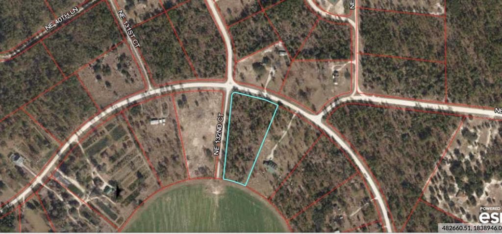 NE 38TH PLACE WILLISTON, FL 32696
