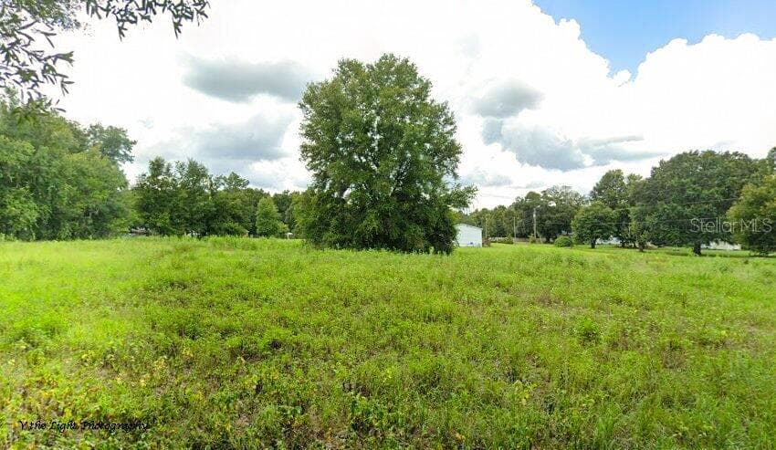 9810 BELLE SMITH ROAD THONOTOSASSA, FL 33592