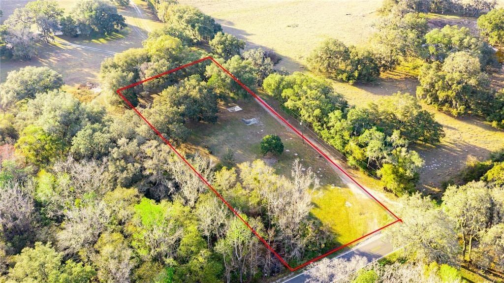 13703 SCHARBER ROAD DADE CITY, FL 33525
