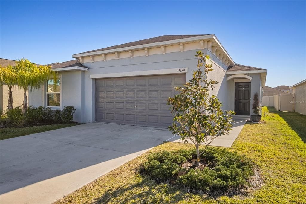 17128 SUNSHINE MIMOSA STREET WIMAUMA, FL 33598