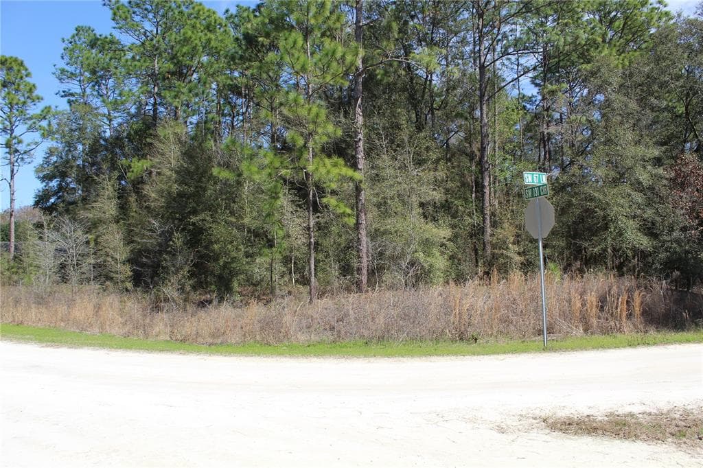 TBD SW 67TH LANE OCALA, FL 34481