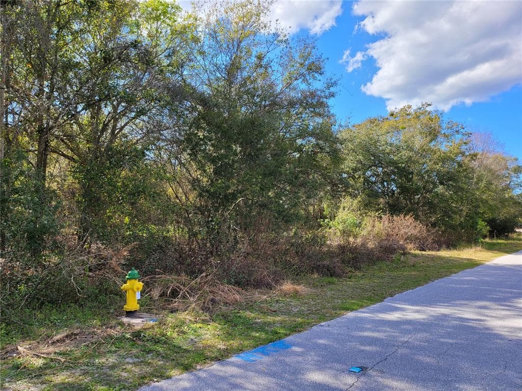 10909 ESTATES DEL SOL DRIVE RIVERVIEW, FL 33579