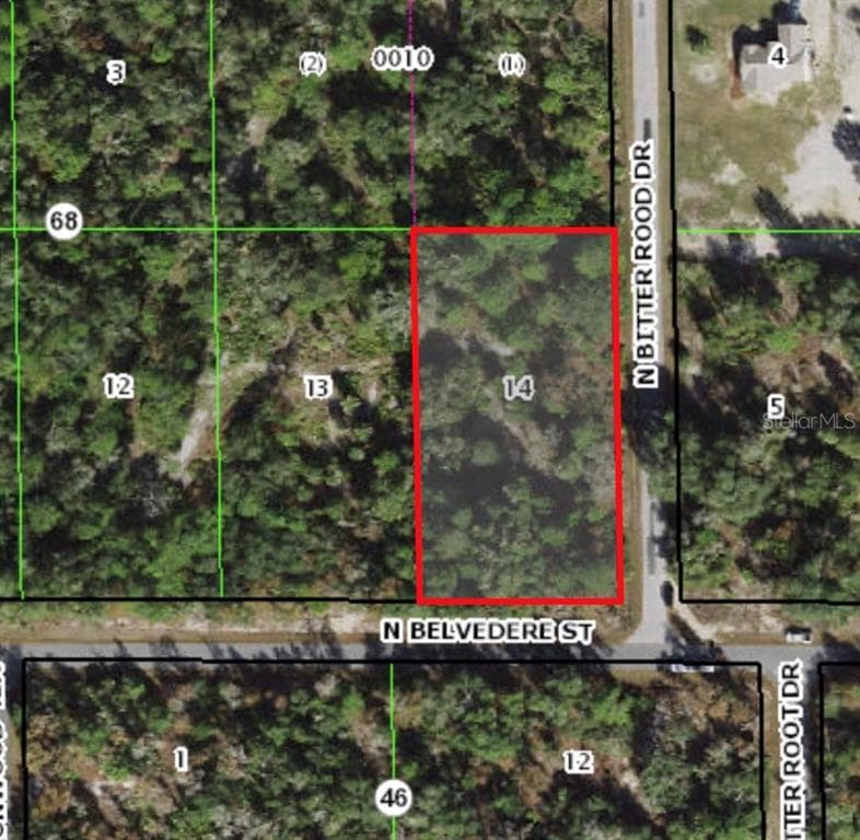 11657 W BELVEDERE STREET CRYSTAL RIVER, FL 34428