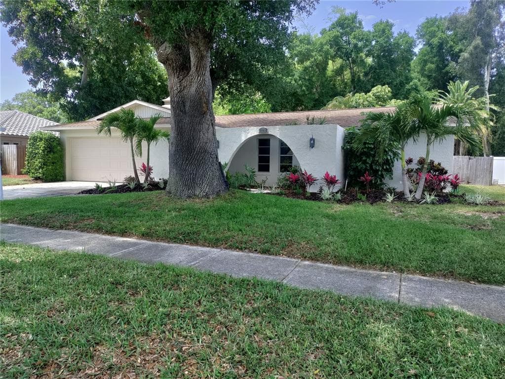 13023 LOIS AVENUE SEMINOLE, FL 33776