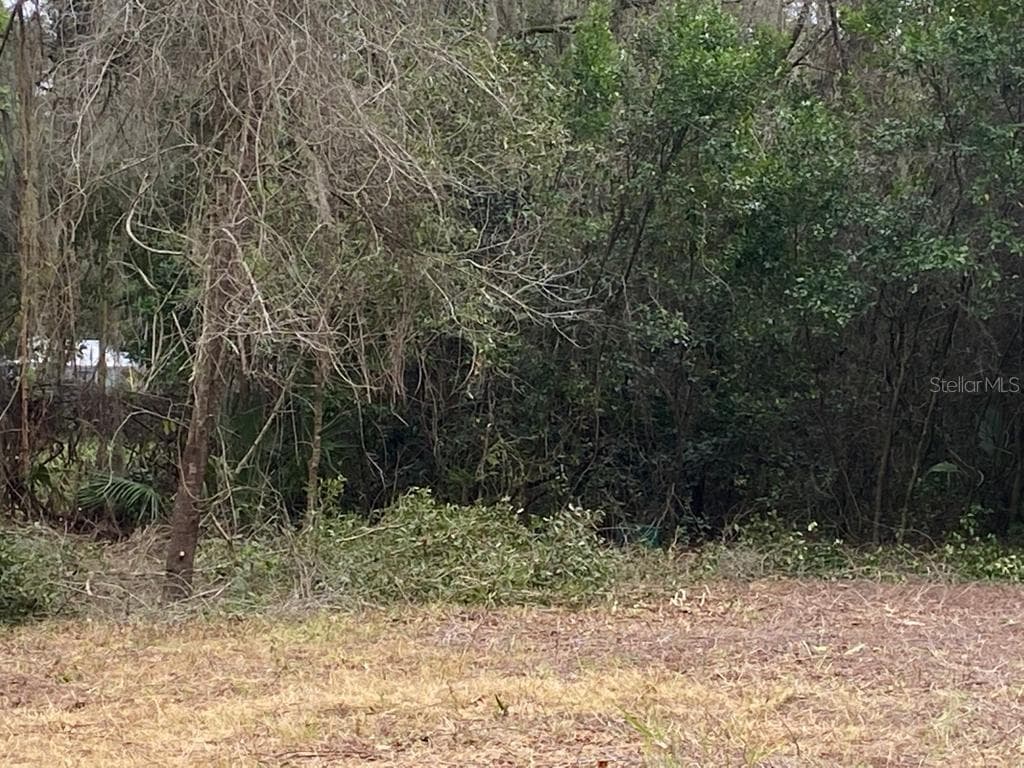 10517 MAIN STREET THONOTOSASSA, FL 33592