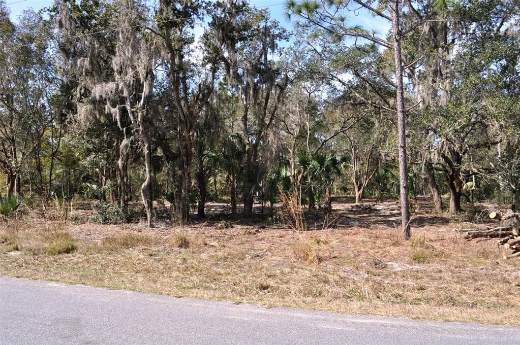 8632 N ERIN DRIVE CRYSTAL RIVER, FL 34428